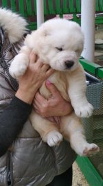 rps20190331_155330.jpg