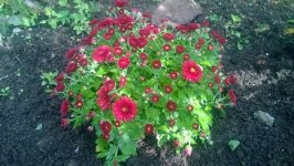 WP_20171008_001.jpg