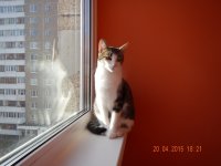 DSCN1334.JPG