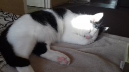 20170805_190030v.jpg