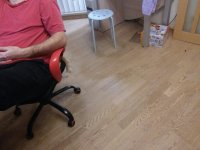 хвост.jpg