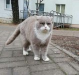 1nPmRPvnhAU  2222222222.jpg