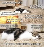 F4DDD0BD-6440-4ABE-8B8B-107A6A24D0EF.jpeg