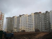 IMG_5515.jpg