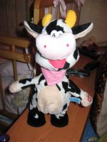 IMG_2724 (Small).jpg