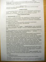 дог1.jpg
