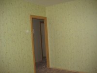 IMG_5529.jpg