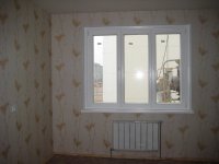 IMG_5532.jpg