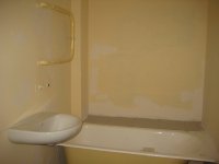 IMG_5556.jpg