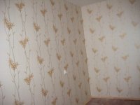 IMG_5590.jpg
