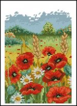 AnchorPoppyField.jpg