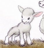 23689344_Sheep_by_ShoJoJim1.jpg
