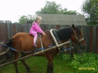 Любимое животное Ники..JPG