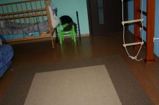 IMG_4784.jpg