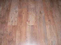 P1100217sem1.jpg