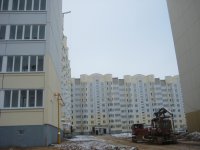 IMG_5825.jpg