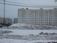 IMG_5860.jpg