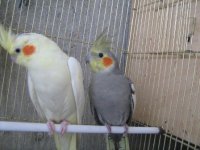 gjgeuf 001.jpg