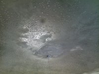 21122009098.jpg