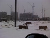 25-12-09_1234.jpg