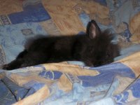 100_1167.jpg