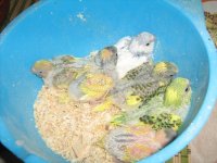 новый год 2010 030.jpg