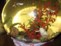 IMG_3075_новый размер.JPG