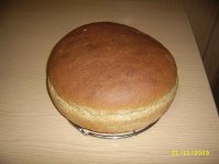 SSA44561+.jpg