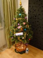 DSC04165_resize.JPG