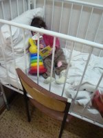 DSC02560_новый размер.JPG