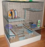 Наша клетка.jpg