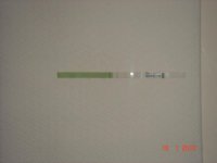 DSC05018.JPG