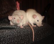 Трэв и Тайс.jpg