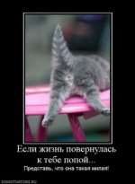 858479_esli-zhizn-povernulas-k-tebe-popoj.thumbnail.jpg