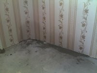 20012010110.jpg