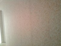 Фото0309.jpg