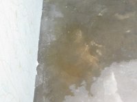 IMG_0079.jpg