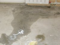 IMG_0088.jpg