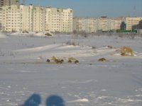 IMG_0693.JPG