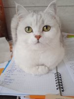 изображение_viber_2021-02-21_18-14-18.jpg