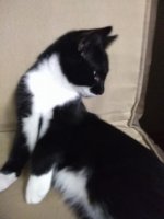 IMG_20201116_205621.jpg