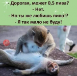 1620825546445.png