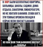 IMG-0d81bd5dd488739a881852ff1894db15-V.jpg