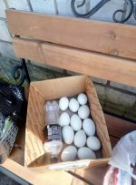 csJoLGm8GEE.jpg