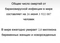 IMG_20210629_050633_456.jpg
