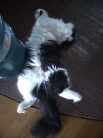 IMG_20210818_224705_860.jpg