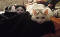 IMG_20210916_200538.jpg