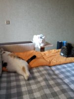 IMG_20210917_134927.jpg