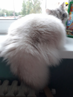 изображение_2021-09-21_090248.png