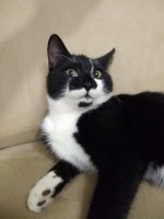 IMG_20201116_205810.jpg
